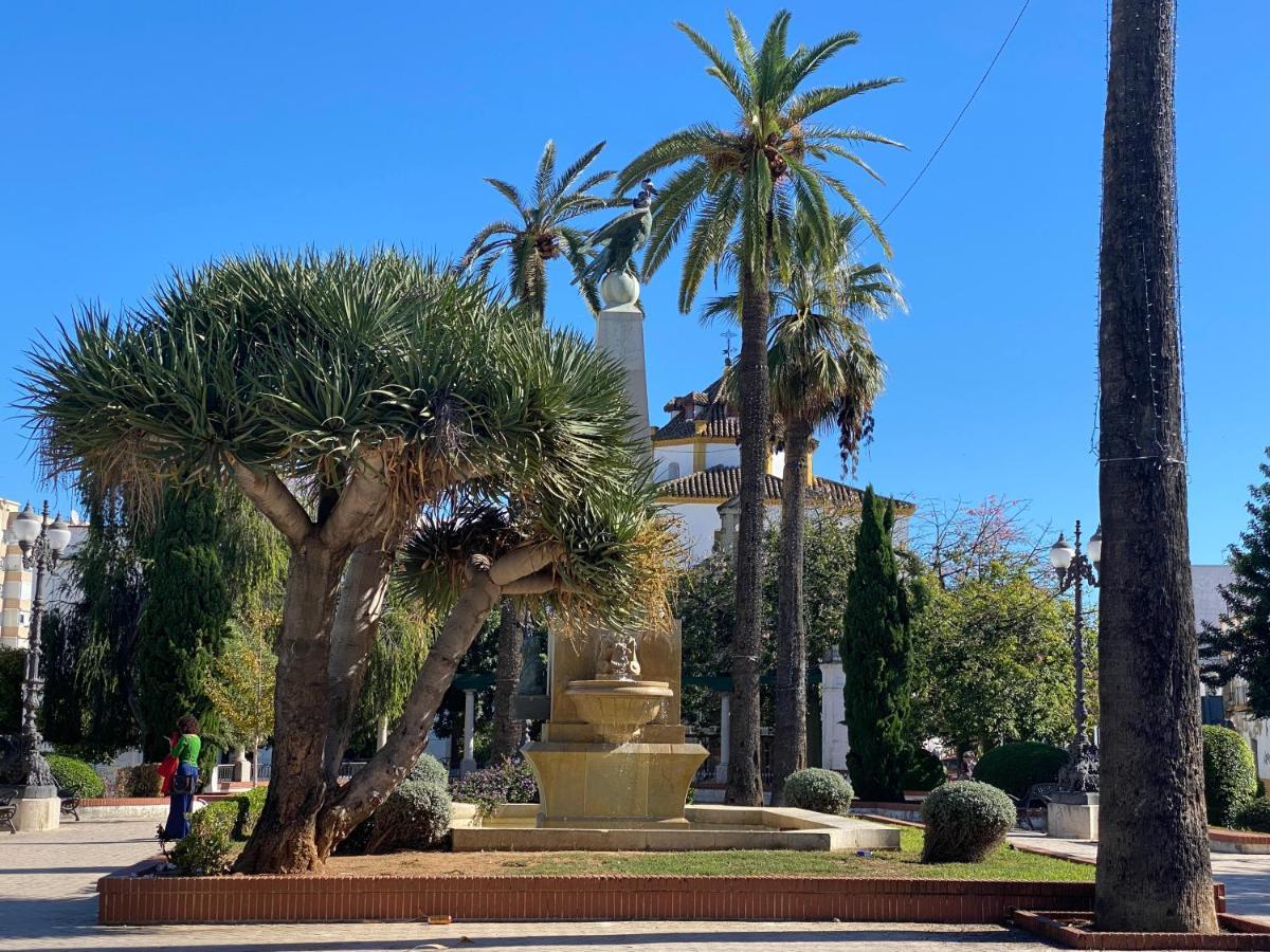La Terraza De Porvenir 10 - Jerez De La Frontera公寓 外观 照片
