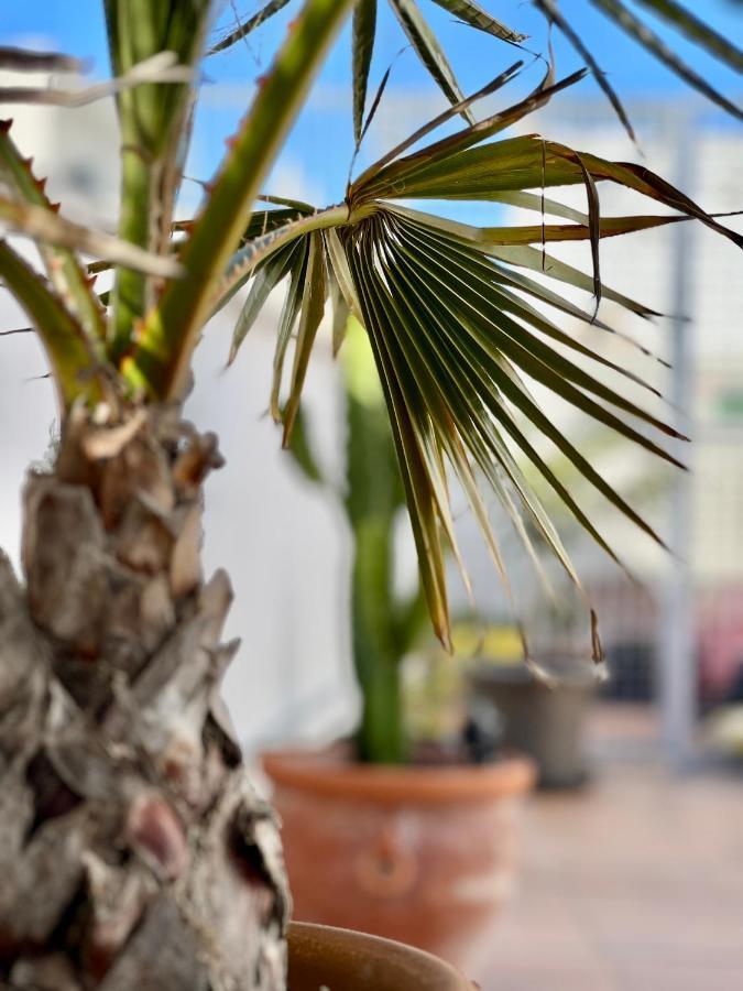 La Terraza De Porvenir 10 - Jerez De La Frontera公寓 外观 照片