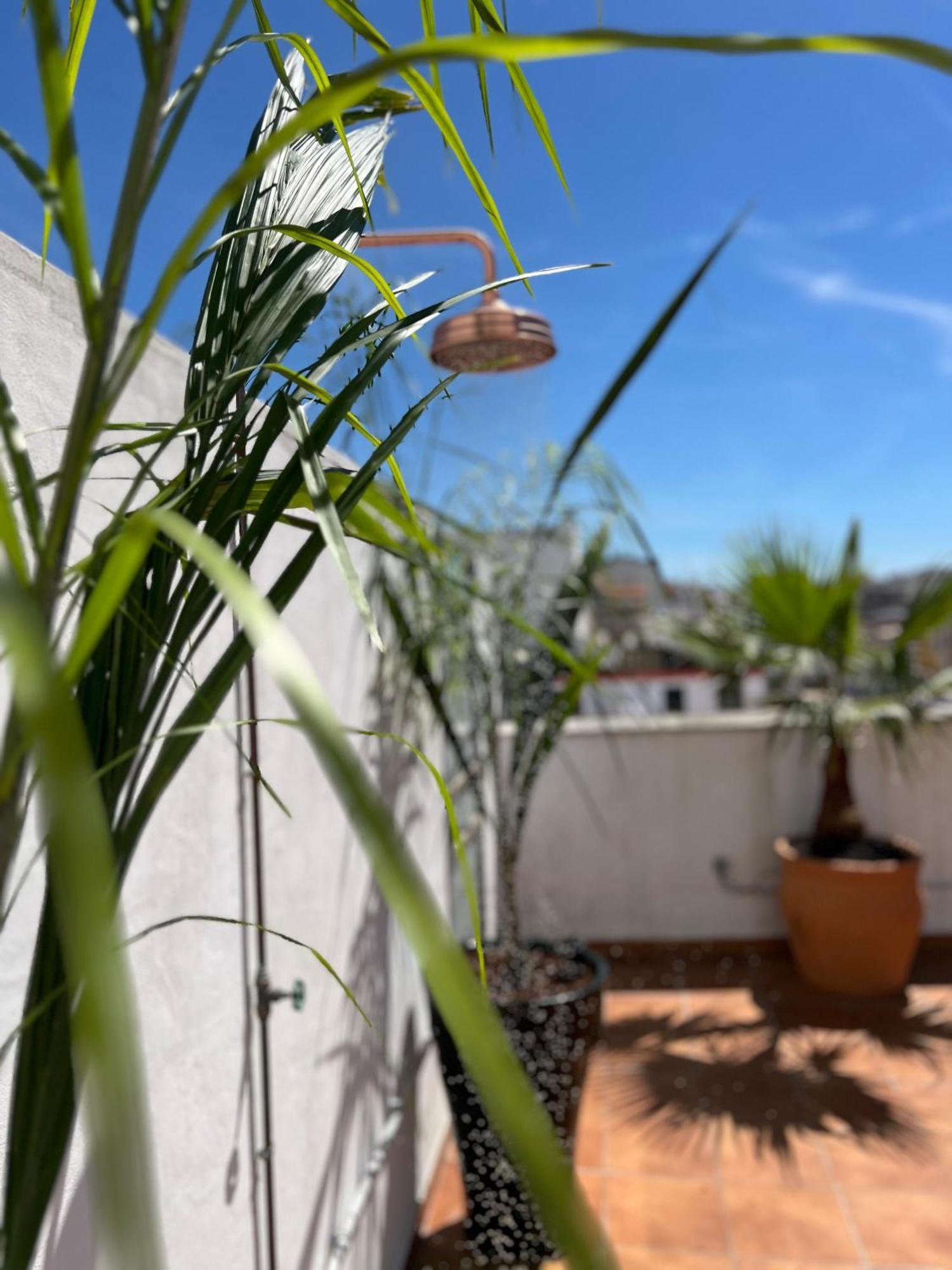 La Terraza De Porvenir 10 - Jerez De La Frontera公寓 外观 照片